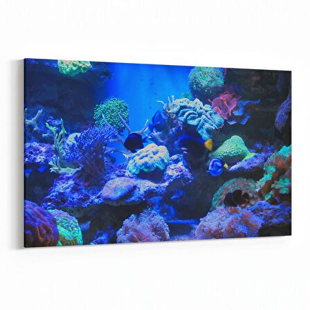 Olla 12068Y Akvaryum / Balık Görseli Yatay Kanvas Tablo (Ölçü: 30X20)