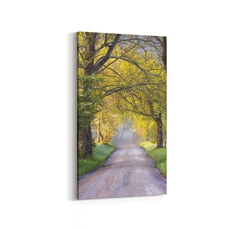 Olla 13437DD Doğa / Manzara Görseli Dikey Dar Kanvas Tablo (Ölçü: 30X60)