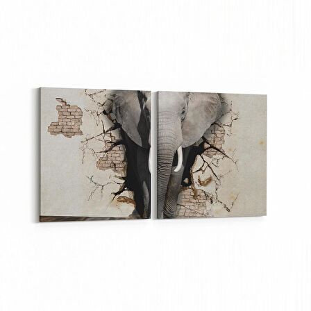 Olla 12679K2Y Hayvanlar Alemi Görseli Kare 2'li Yatay Kanvas Tablo (Ölçü: 125X60)