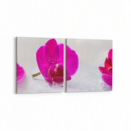 Olla 11686K2Y Orkide Çiçek Görseli 2'li Yatay Kanvas Tablo (Ölçü: 145X70)