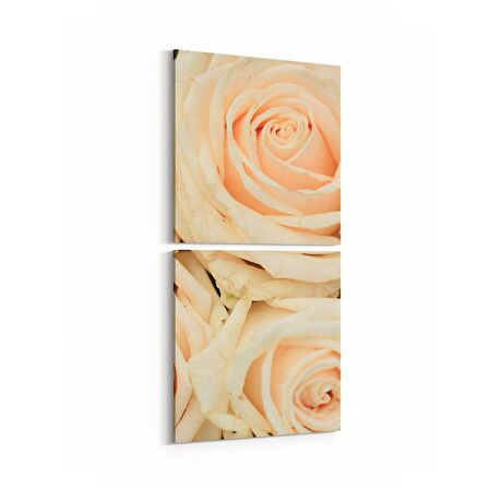 Olla 11619K2D Çiçek Görseli Kare 2'li Dikey Kanvas Tablo (Ölçü: 30X65)