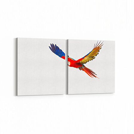 Olla 12558K2Y Hayvanlar Alemi Görseli Kare 2'li Yatay Kanvas Tablo (Ölçü: 105X50)