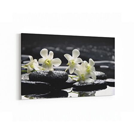 Olla 17101Y Spa / Masaj Görseli Yatay Kanvas Tablo (Ölçü: 45X30)