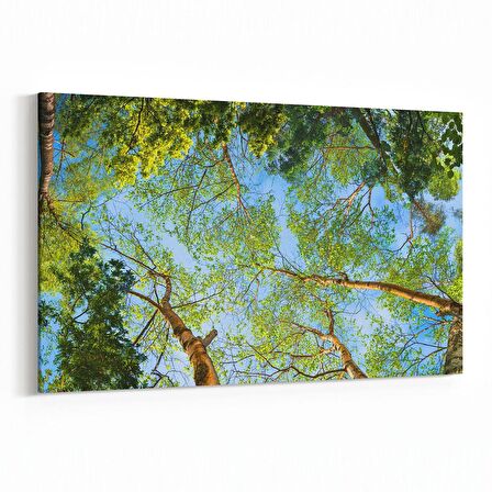 Olla 10652Y Ağaç Görseli Yatay Kanvas Tablo (Ölçü: 120X80)