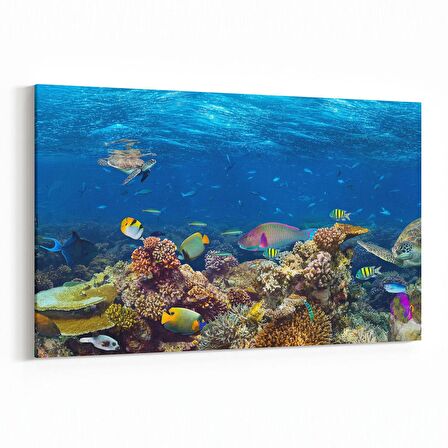 Olla 12159Y Akvaryum / Balık Görseli Yatay Kanvas Tablo (Ölçü: 45X30)