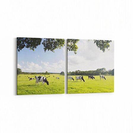 Olla 12564K2Y Hayvanlar Alemi Görseli Kare 2'li Yatay Kanvas Tablo (Ölçü: 125X60)