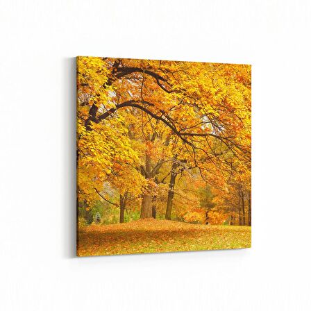 Olla 13229K Doğa / Manzara Görseli Kare Kanvas Tablo (Ölçü: 100X100)