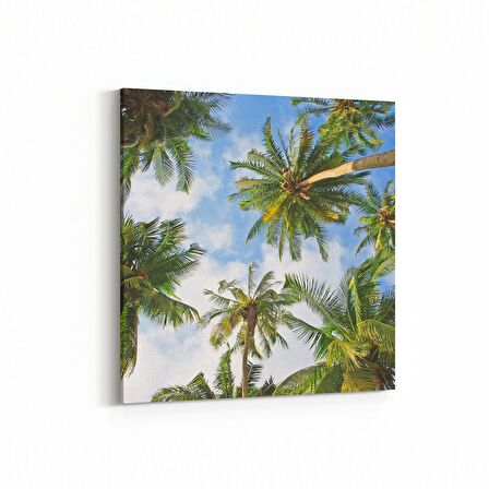Olla 11501K Palmiye Ağacı Görseli Kare Kanvas Tablo (Ölçü: 25X25)