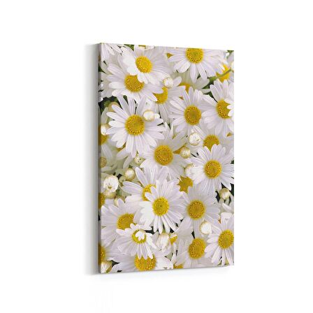 Olla 11634D Çiçek Görseli Dikey Kanvas Tablo (Ölçü: 70X105)