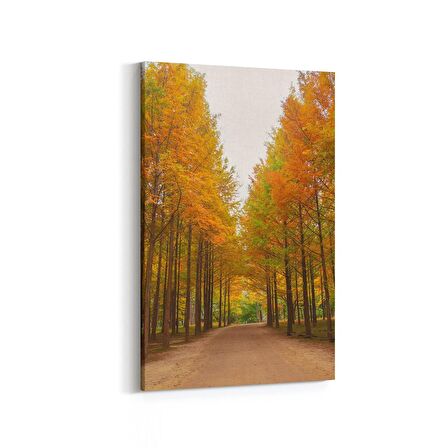 Olla 13487D Doğa / Manzara Görseli Dikey Kanvas Tablo (Ölçü: 20X30)