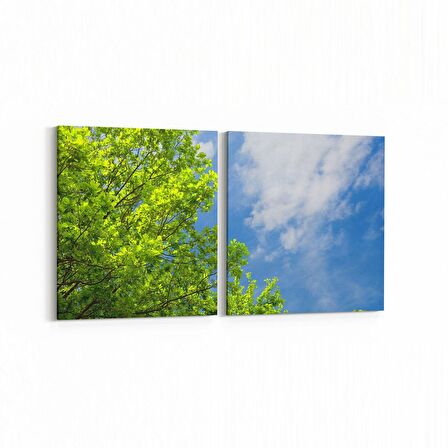 Olla 10975K2Y Ağaç Görseli Kare 2'li Yatay Kanvas Tablo (Ölçü: 65X30)