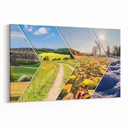 Olla 14510Y Doğa / Manzara Görseli Yatay Kanvas Tablo (Ölçü: 90X60)