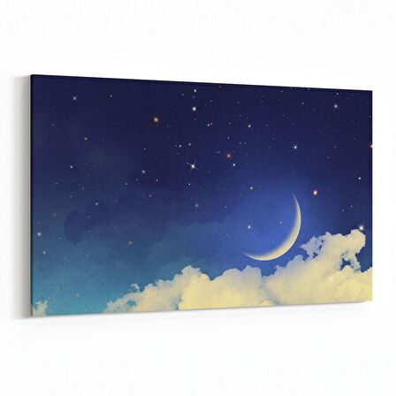 Olla 14875Y Gece Gökyüzü Görseli Yatay Kanvas Tablo (Ölçü: 45X30)