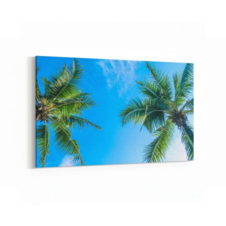 Olla 11488Y Palmiye Ağacı Görseli Yatay Kanvas Tablo (Ölçü: 90X60)
