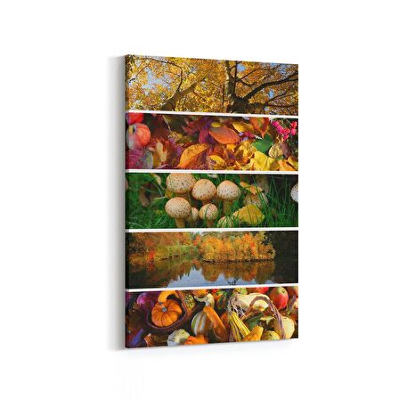 Olla 15105D Gıda Görseli Dikey Kanvas Tablo (Ölçü: 100X150)