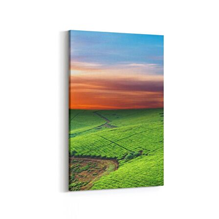 Olla 15905D Günbatımı Görseli Dikey Kanvas Tablo (Ölçü: 60X90)