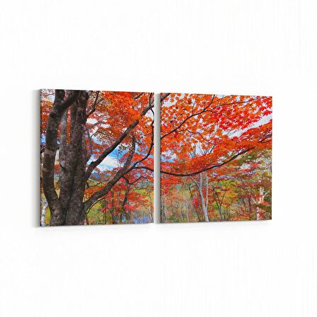 Olla 13256K2Y Doğa / Manzara Görseli Kare 2'li Yatay Kanvas Tablo (Ölçü: 125X60)