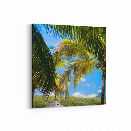 Olla 16475K Kumsal / Sahil Görseli Kare Kanvas Tablo (Ölçü: 100X100)