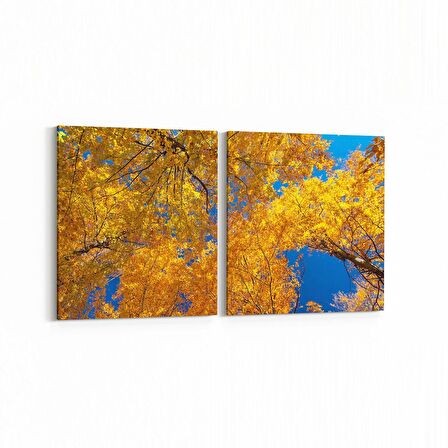 Olla 10566K2Y Ağaç Görseli Kare 2'li Yatay Kanvas Tablo (Ölçü: 125X60)