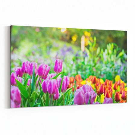 Olla 13958Y Doğa / Manzara Görseli Yatay Kanvas Tablo (Ölçü: 70X50)