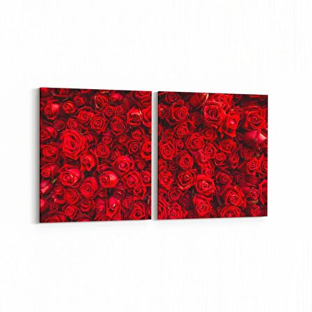 Olla 11603K2Y Çiçek Görseli Kare 2'li Yatay Kanvas Tablo (Ölçü: 65X30)