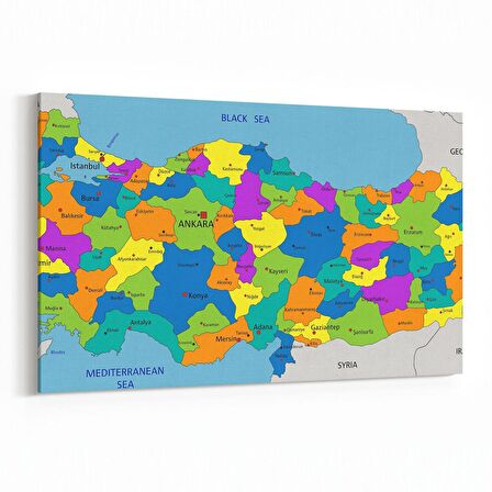 Olla 16198Y Harita Görseli Yatay Kanvas Tablo (Ölçü: 45X30)