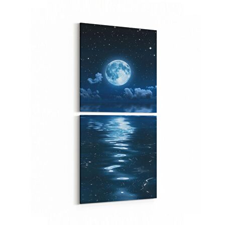 Olla 14682K2D Gece Gökyüzü Görseli Kare 2'li Dikey Kanvas Tablo (Ölçü: 30X65)