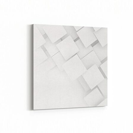 Olla 10446K Beyaz Kabartma Görseli Kare Kanvas Tablo (Ölçü: 60X60)