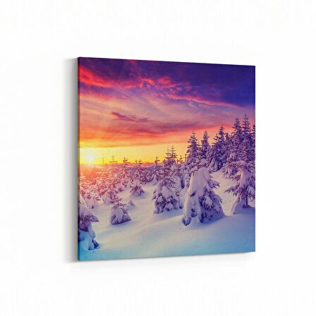 Olla 13742K Doğa / Manzara Görseli Kare Kanvas Tablo (Ölçü: 25X25)