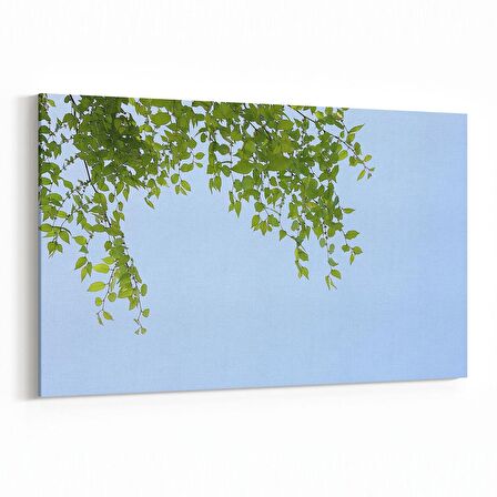 Olla 10959Y Ağaç Görseli Yatay Kanvas Tablo (Ölçü: 150X100)