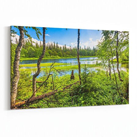 Olla 14248Y Doğa / Manzara Görseli Yatay Kanvas Tablo (Ölçü: 45X30)