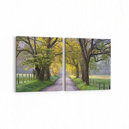 Olla 13437K2Y Doğa / Manzara Görseli Kare 2'li Yatay Kanvas Tablo (Ölçü: 65X30)