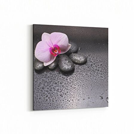 Olla 17096K Spa / Masaj Görseli Kare Kanvas Tablo (Ölçü: 25X25)