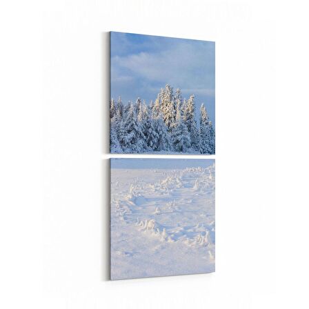 Olla 13763K2D Doğa / Manzara Görseli Kare 2'li Dikey Kanvas Tablo (Ölçü: 30X65)