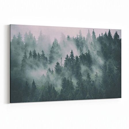 Olla 14427Y Doğa / Manzara Görseli Yatay Kanvas Tablo (Ölçü: 70X50)