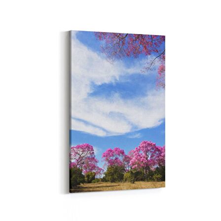 Olla 13532D Doğa / Manzara Görseli Dikey Kanvas Tablo (Ölçü: 100X150)