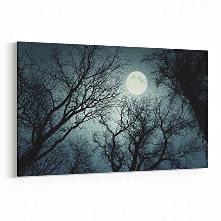 Olla 14749Y Gece Gökyüzü Görseli Yatay Kanvas Tablo (Ölçü: 30X20)