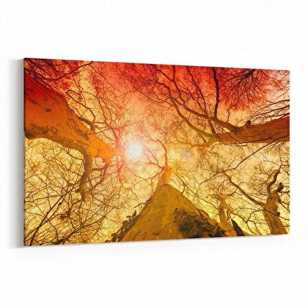 Olla 10738Y Ağaç Görseli Yatay Kanvas Tablo (Ölçü: 70X50)