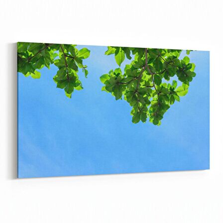 Olla 10971Y Ağaç Görseli Yatay Kanvas Tablo (Ölçü: 45X30)
