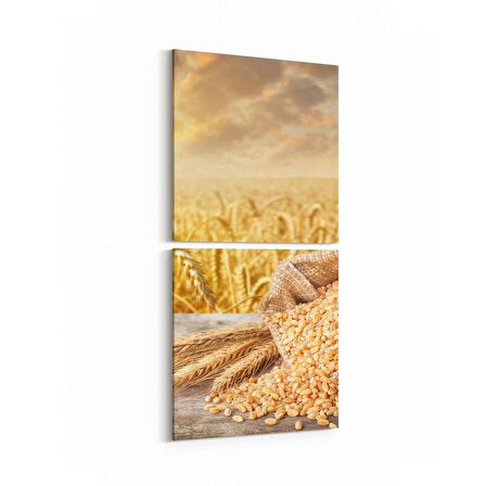 Olla 15253K2D Gıda Görseli 2'li Dikey Kanvas Tablo (Ölçü: 30X65)