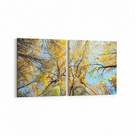 Olla 10802K2Y Ağaç Görseli Kare 2'li Yatay Kanvas Tablo (Ölçü: 65X30)