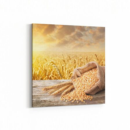 Olla 15253K Gıda Görseli Kare Kanvas Tablo (Ölçü: 25X25)