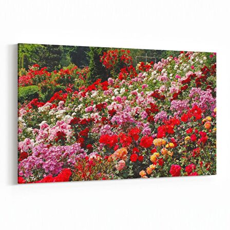 Olla 11575Y Çiçek Görseli Yatay Kanvas Tablo (Ölçü: 30X20)