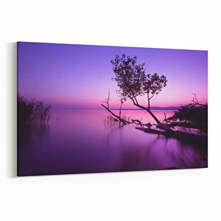 Olla 16084Y Günbatımı Görseli Yatay Kanvas Tablo (Ölçü: 120X80)