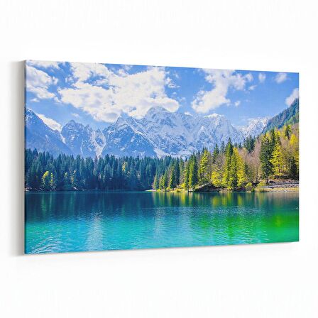 Olla 14311Y Doğa / Manzara Görseli Yatay Kanvas Tablo (Ölçü: 30X20)