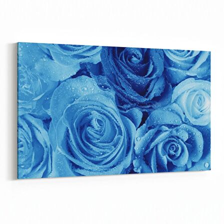 Olla 11598Y Çiçek Görseli Yatay Kanvas Tablo (Ölçü: 45X30)