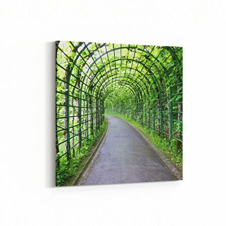 Olla 14074K Doğa / Manzara Görseli Kare Kanvas Tablo (Ölçü: 30X30)