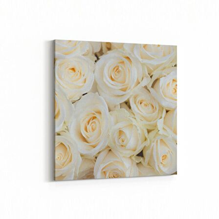 Olla 11608K Çiçek Görseli Kare Kanvas Tablo (Ölçü: 30X30)