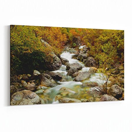 Olla 14298Y Doğa / Manzara Görseli Yatay Kanvas Tablo (Ölçü: 30X20)