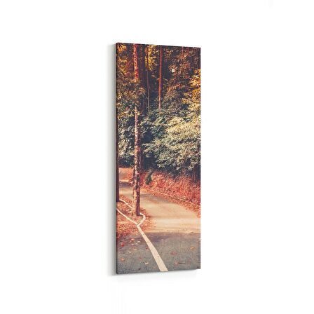 Olla 14454DI Doğa / Manzara Görseli Dikey İnce Kanvas Tablo (Ölçü: 40X120)